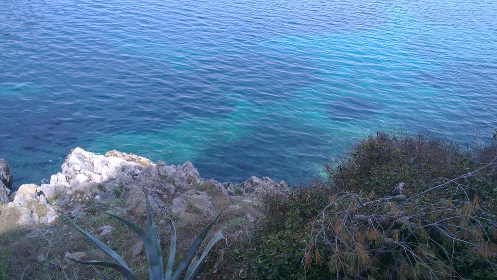 Bakaric Veli Losinj